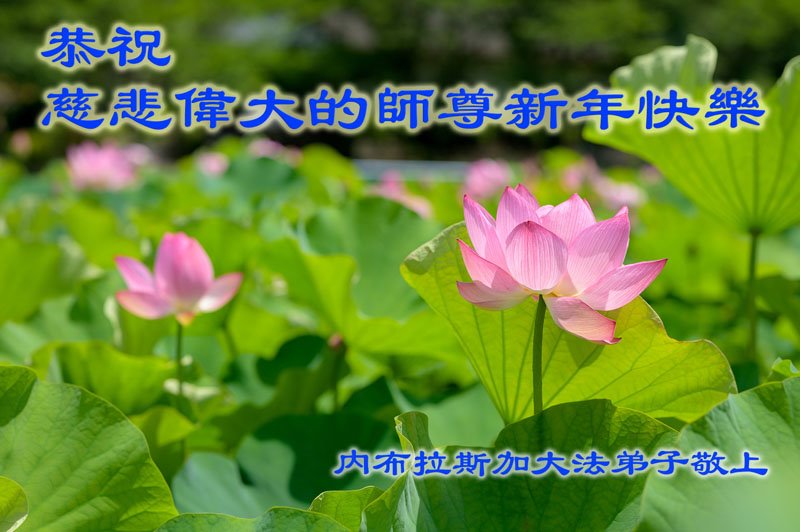 Image for article ​Praktykujący Falun Dafa z USA życzą Mistrzowi Li Hongzhi Szczęśliwego Chińskiego Nowego Roku