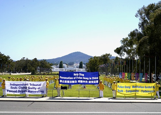 Image for article Canberra, Australia: Praktykujący Falun Dafa organizują pokojowy apel i wzywają do zakończenia zbrodni grabieży organów dokonywanej przez Komunistyczną Partię Chin