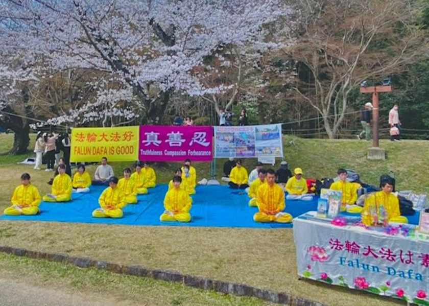 Image for article Miasto Toyota, Japonia: Przedstawienie Falun Dafa na Festiwalu Kwitnącej Wiśni Sakura