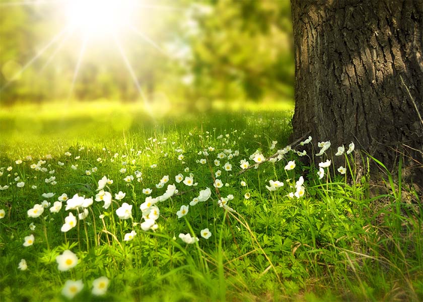 Image for article Falun Dafa odmieniło moje życie