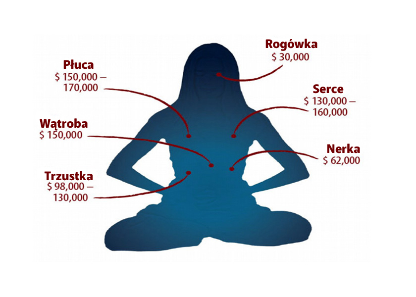 Image for article Raport Minghui: Praktykujący Falun Gong są systematycznie mordowani w Chinach dla ich organów