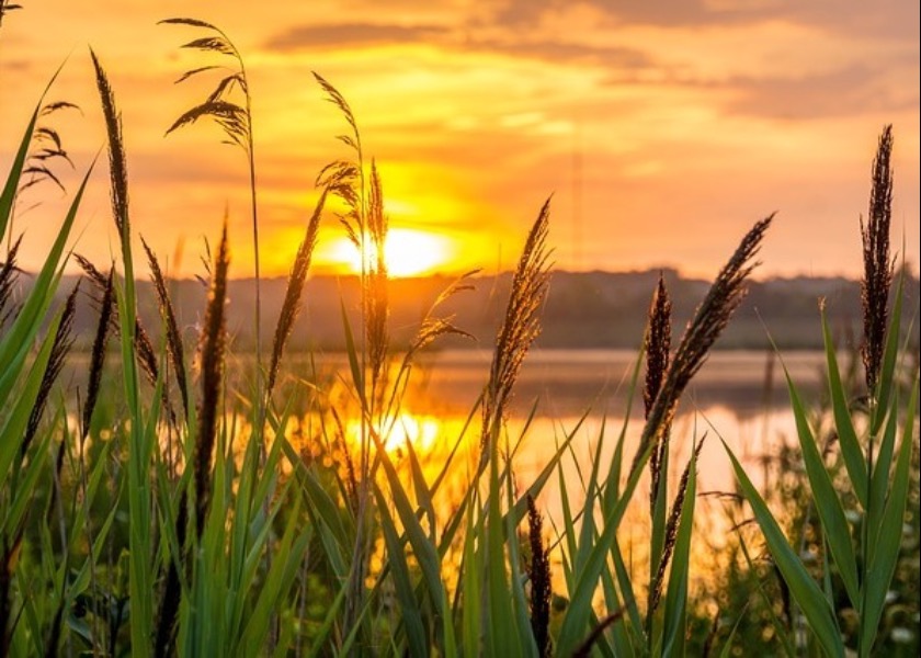 Image for article Kilka spostrzeżeń dotyczących patrzenia do wewnątrz i recytowania Fa