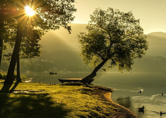 Image for article Radość po ocaleniu