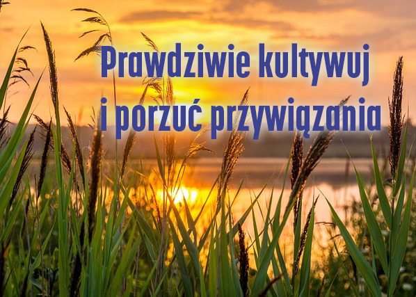 Image for article Kultywowanie „Cierpliwości”