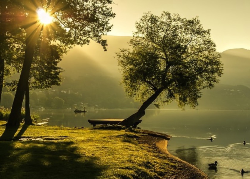 Image for article Mój uparty teść w końcu wycofał się z Komunistycznej Partii Chin