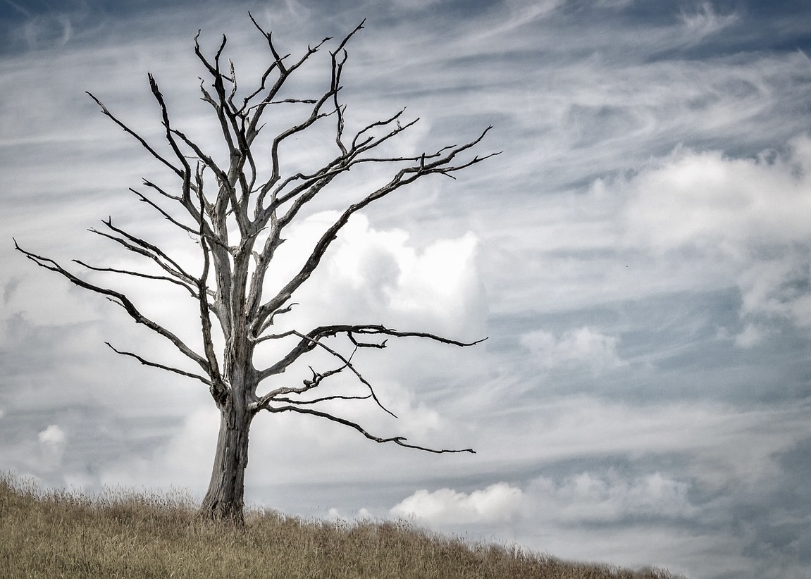 Image for article 45-letnia kobieta zmarła trzy dni po osadzeniu w więzieniu, gdzie miała odbywać 5-letnią karę za praktykowanie Falun Gong