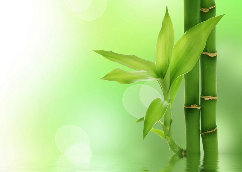 Image for article Nieodrobiona lekcja Rewolucji Kulturalnej: „Niech nasz los będzie dla was przestrogą”