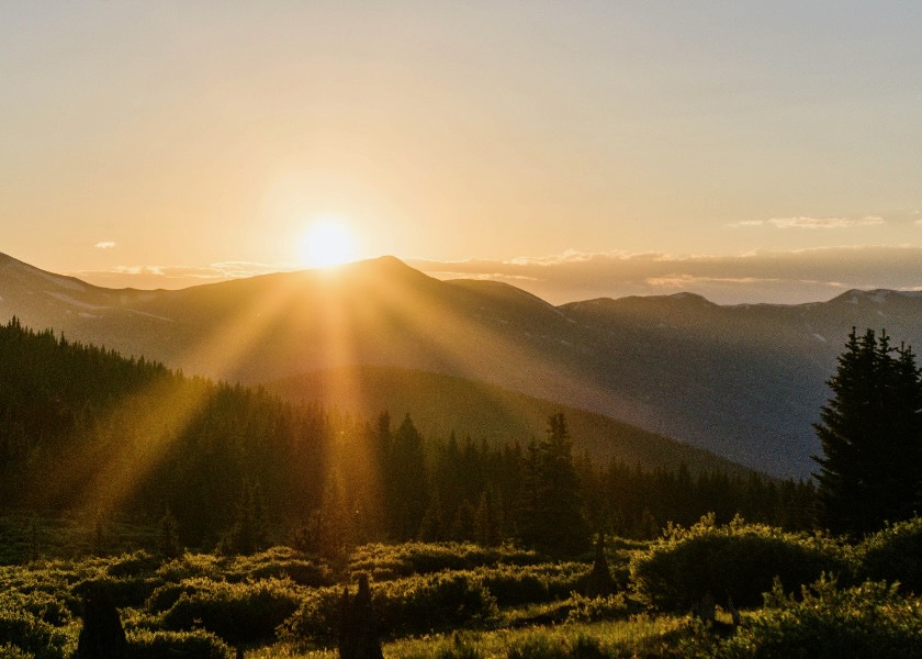 Image for article Kiedy zawodzą systemy, pozostaje tylko ludzkie sumienie