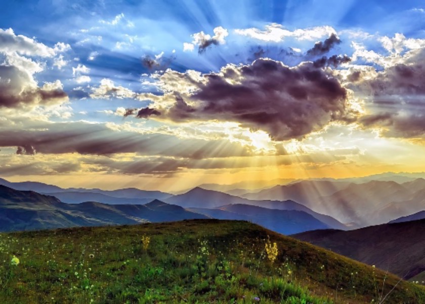 Image for article Niezłomność w kultywacji