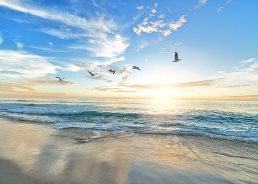 Image for article Moim największym szczęściem w życiu jest odnalezienie Falun Dafa