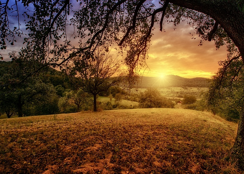 Image for article Policjant: „Falun Dafa przyniosło dwa cuda w twoim życiu!”