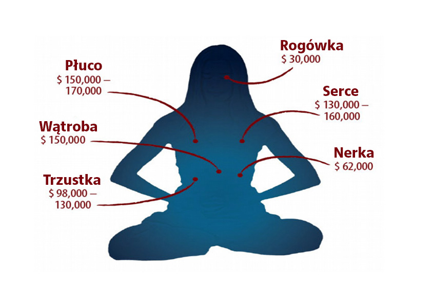 Image for article Dwadzieścia lat po ujawnieniu praktyki pobierania organów przez KPCh: gdzie obecnie się znajdujemy?