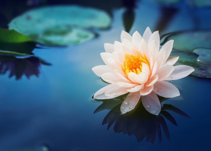 Image for article Eliminowanie przywiązania zazdrości do mojego męża