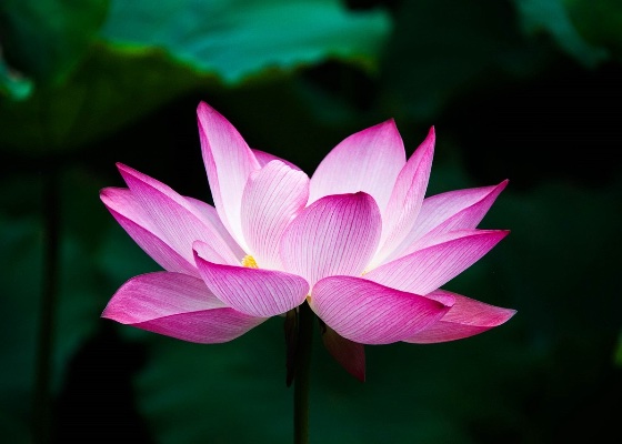 Image for article Odkryłem swoje przywiązania po tym, jak mój ojciec został oszukany