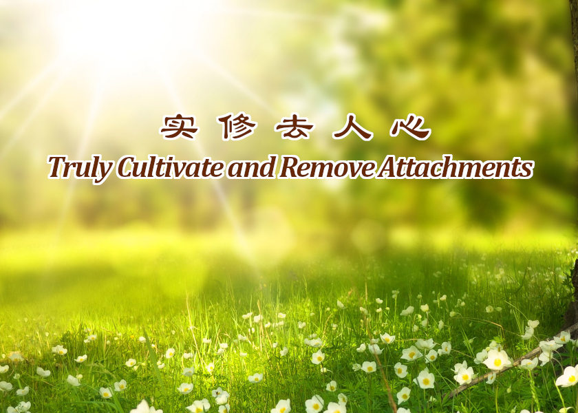 Image for article Praktykowanie Falun Dafa to błogosławieństwo